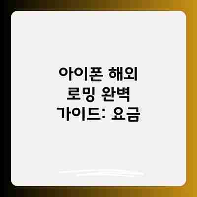 아이폰 해외 로밍 완벽 가이드: 요금