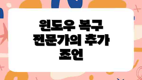 윈도우 복구 전문가의 추가 조언