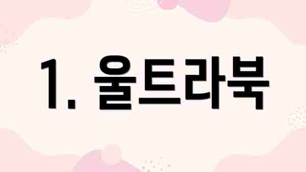 1. 울트라북