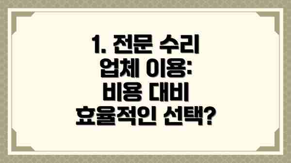 1. 전문 수리 업체 이용: 비용 대비 효율적인 선택?