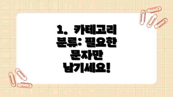 1.  카테고리 분류: 필요한 문자만 남기세요!