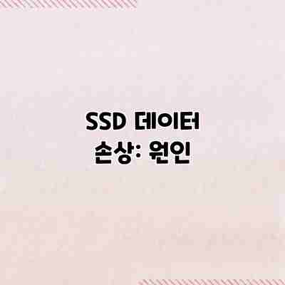 SSD 데이터 손상: 원인 SSD 데이터 손상: 원인