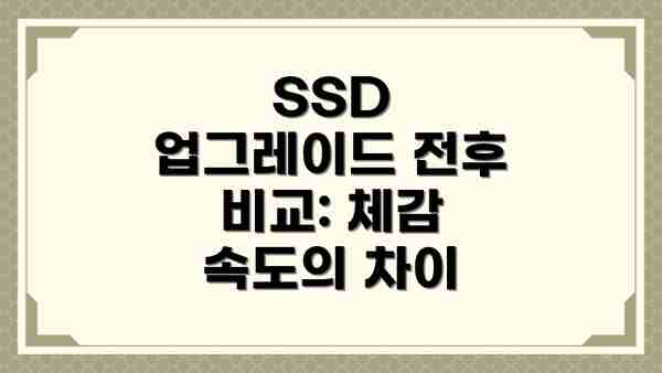 SSD 업그레이드 전후 비교: 체감 속도의 차이