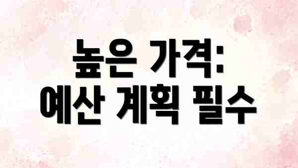 높은 가격:  예산 계획 필수