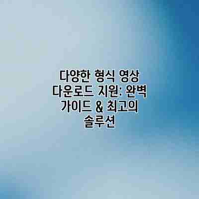 다양한 형식 영상 다운로드 지원: 완벽 가이드 & 최고의 솔루션 다양한 형식 영상 다운로드 지원: 완벽 가이드 & 최고의 솔루션