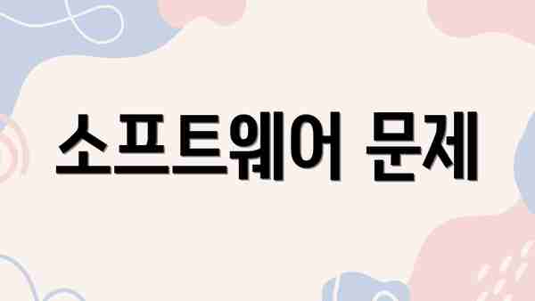소프트웨어 문제