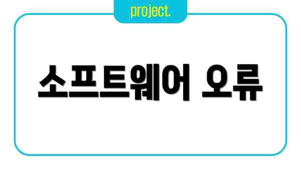 소프트웨어 오류