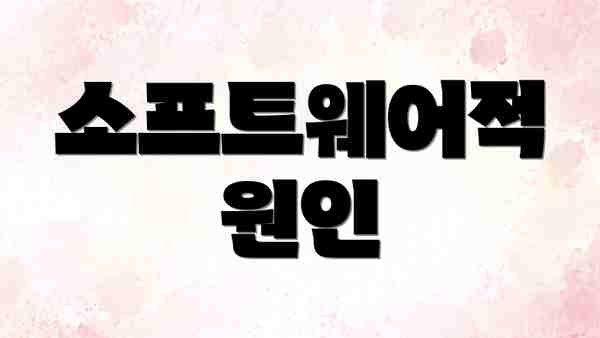 소프트웨어적 원인