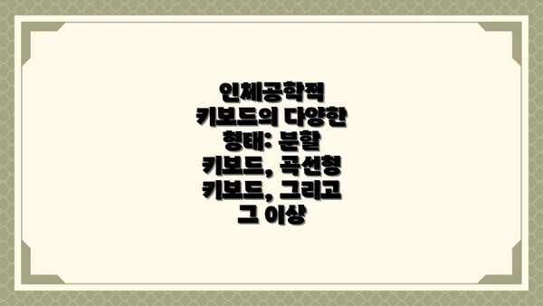 인체공학적 키보드의 다양한 형태: 분할 키보드, 곡선형 키보드, 그리고 그 이상
