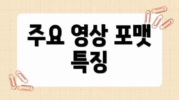 주요 영상 포맷 특징