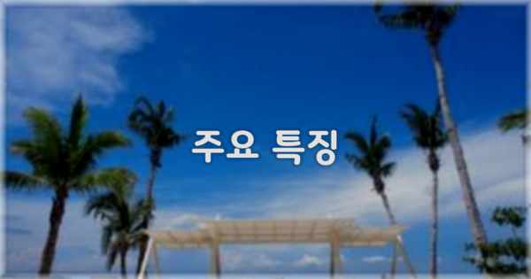 ✨ 주요 특징