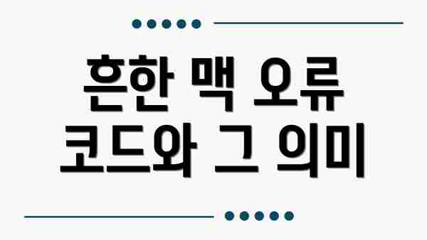 흔한 맥 오류 코드와 그 의미