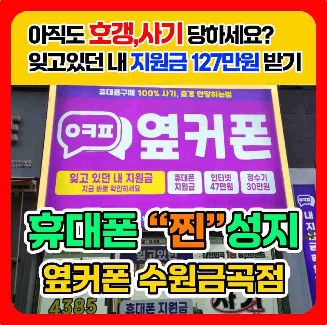 휴대폰성지옆커폰 금곡점