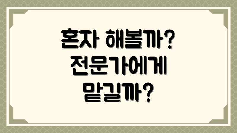 혼자 해볼까? 전문가에게 맡길까?
