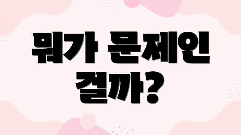뭐가 문제인 걸까?