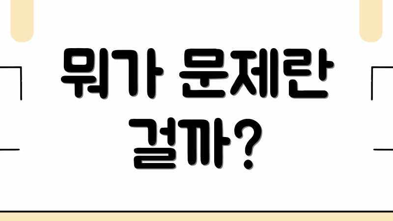 뭐가 문제란 걸까?