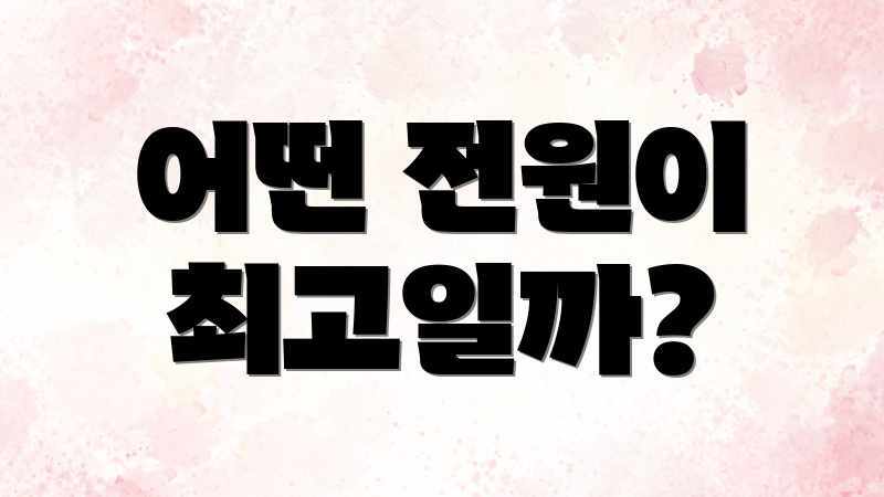 어떤 전원이 최고일까?