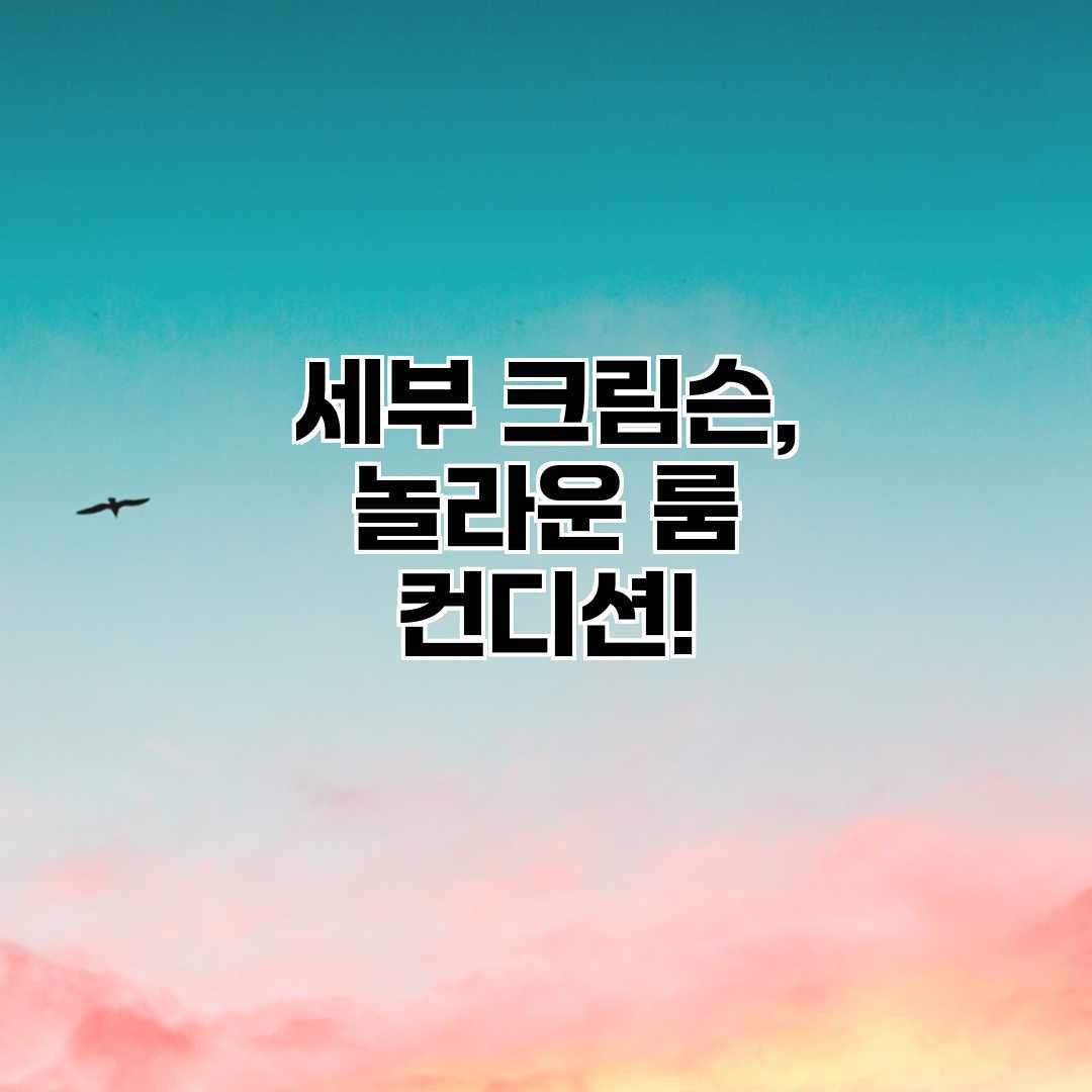 세부 크림슨, 놀라운 룸 컨디션! 세부 크림슨, 놀라운 룸 컨디션!