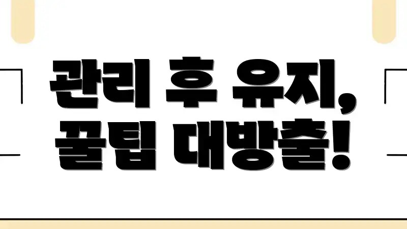 관리 후 유지, 꿀팁 대방출!