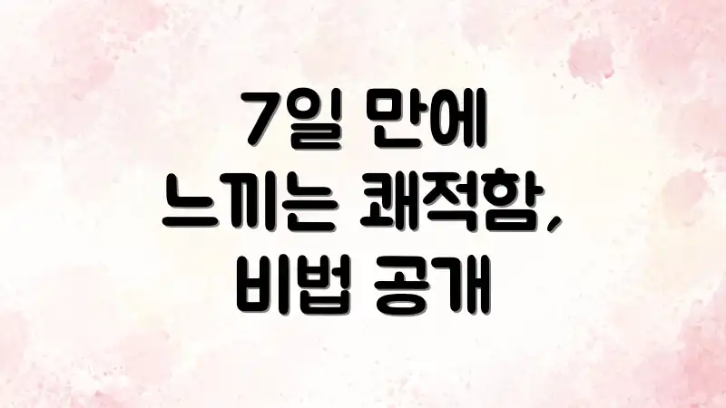 7일 만에 느끼는 쾌적함, 비법 공개