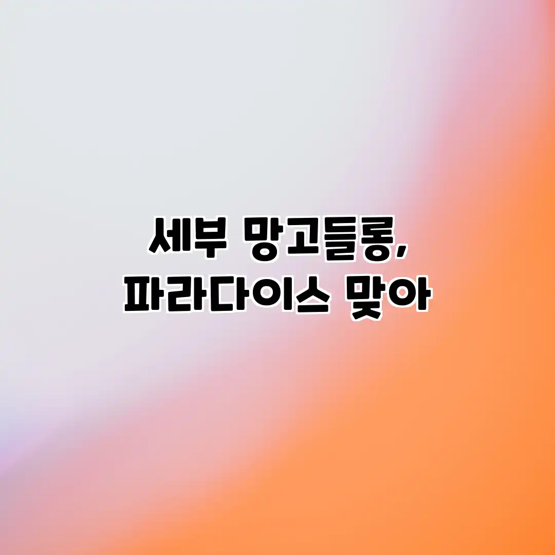 세부 망고들롱, 파라다이스 맞아? 세부 망고들롱, 파라다이스 맞아?