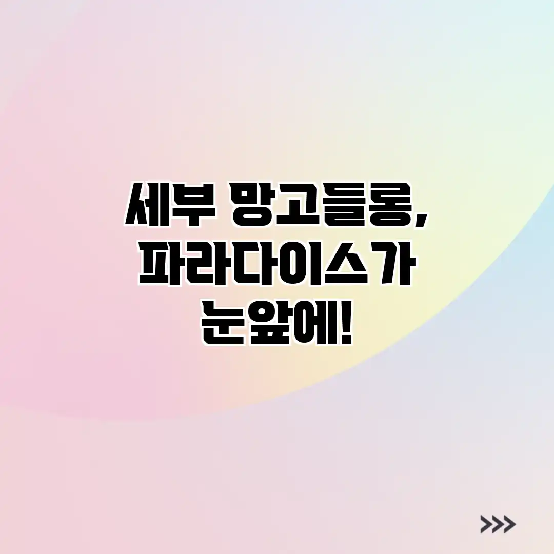 세부 망고들롱, 파라다이스가 눈앞에!