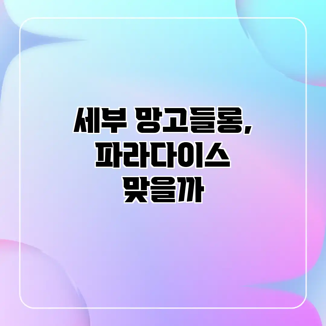 세부 망고들롱, 파라다이스 맞을까? 세부 망고들롱, 파라다이스 맞을까?
