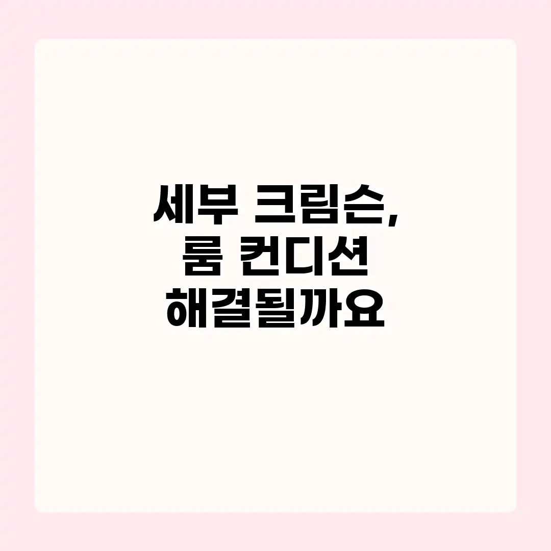 세부 크림슨, 룸 컨디션 해결될까요?