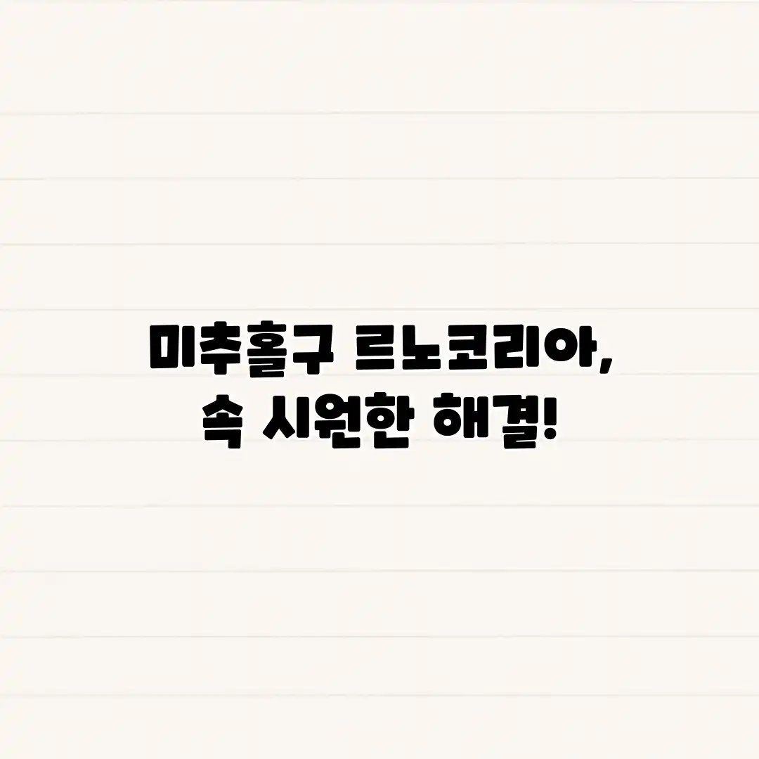 미추홀구 르노코리아, 속 시원한 해결!
