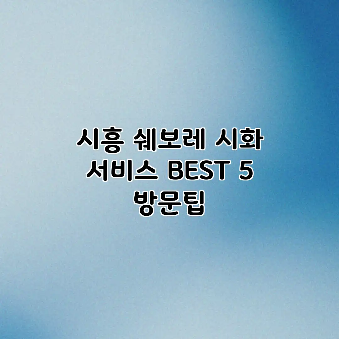 시흥 쉐보레 시화 서비스 BEST 5 방문팁