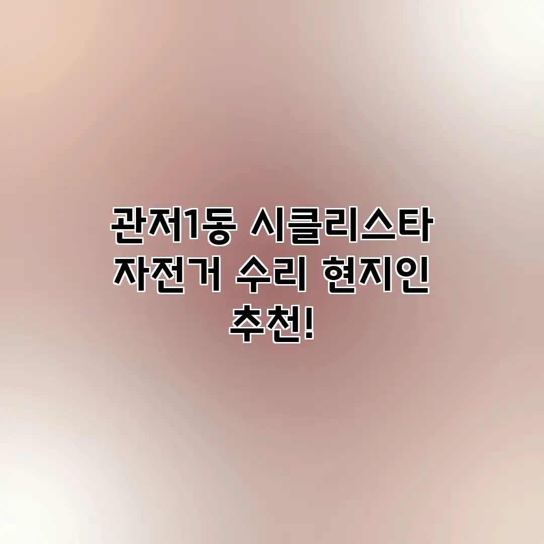 관저1동 시클리스타: 자전거 수리 현지인 추천!