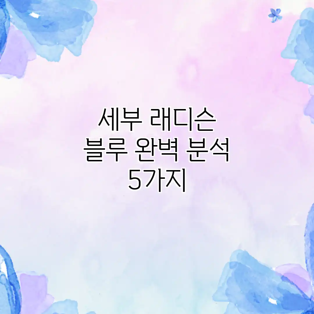 세부 래디슨 블루 완벽 분석 5가지
