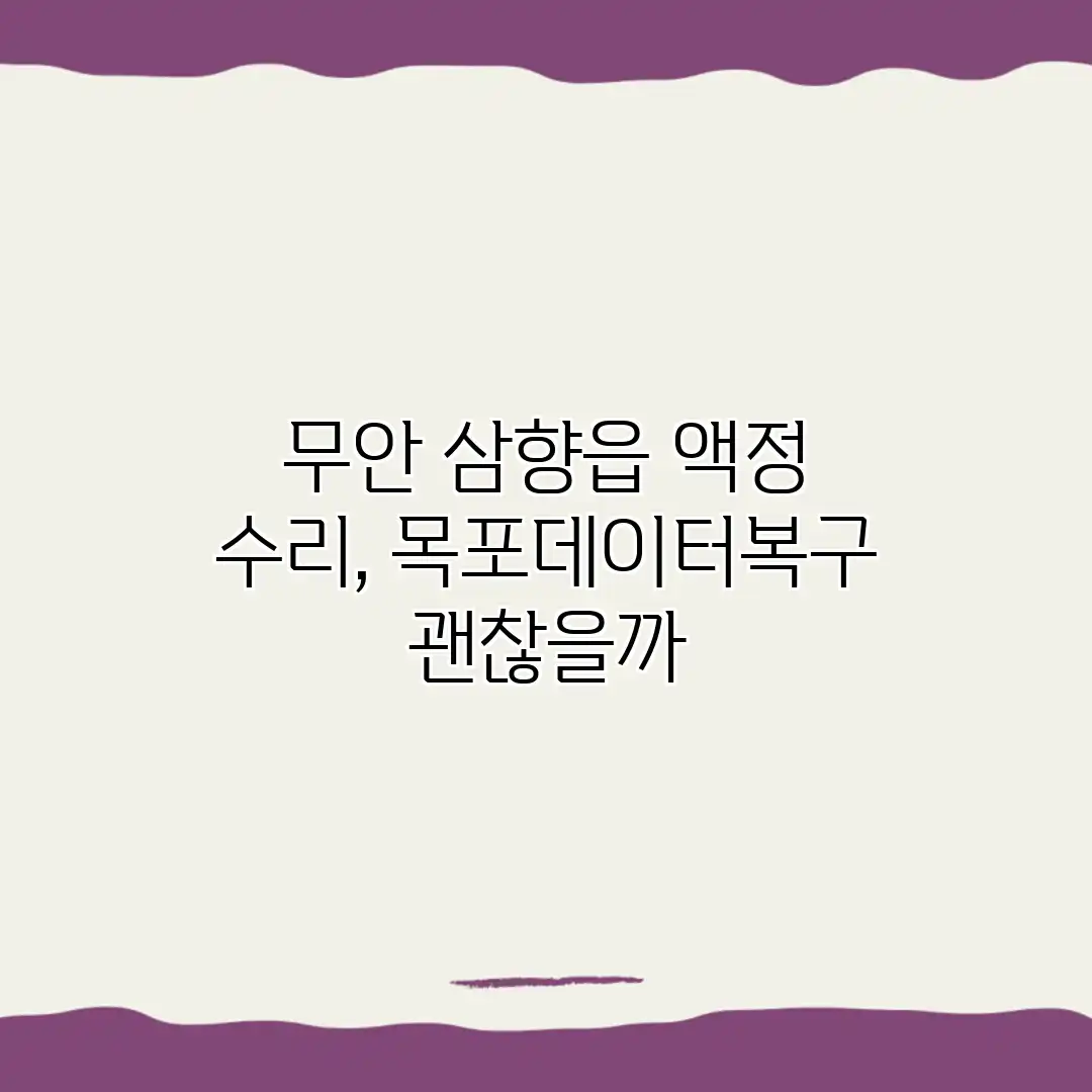 무안 삼향읍 액정 수리, 목포데이터복구 괜찮을까?