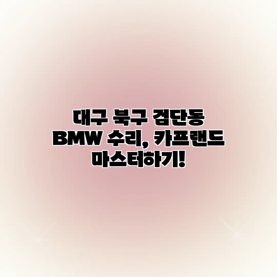 대구 북구 검단동 BMW 수리, 카프랜드 마스터하기!