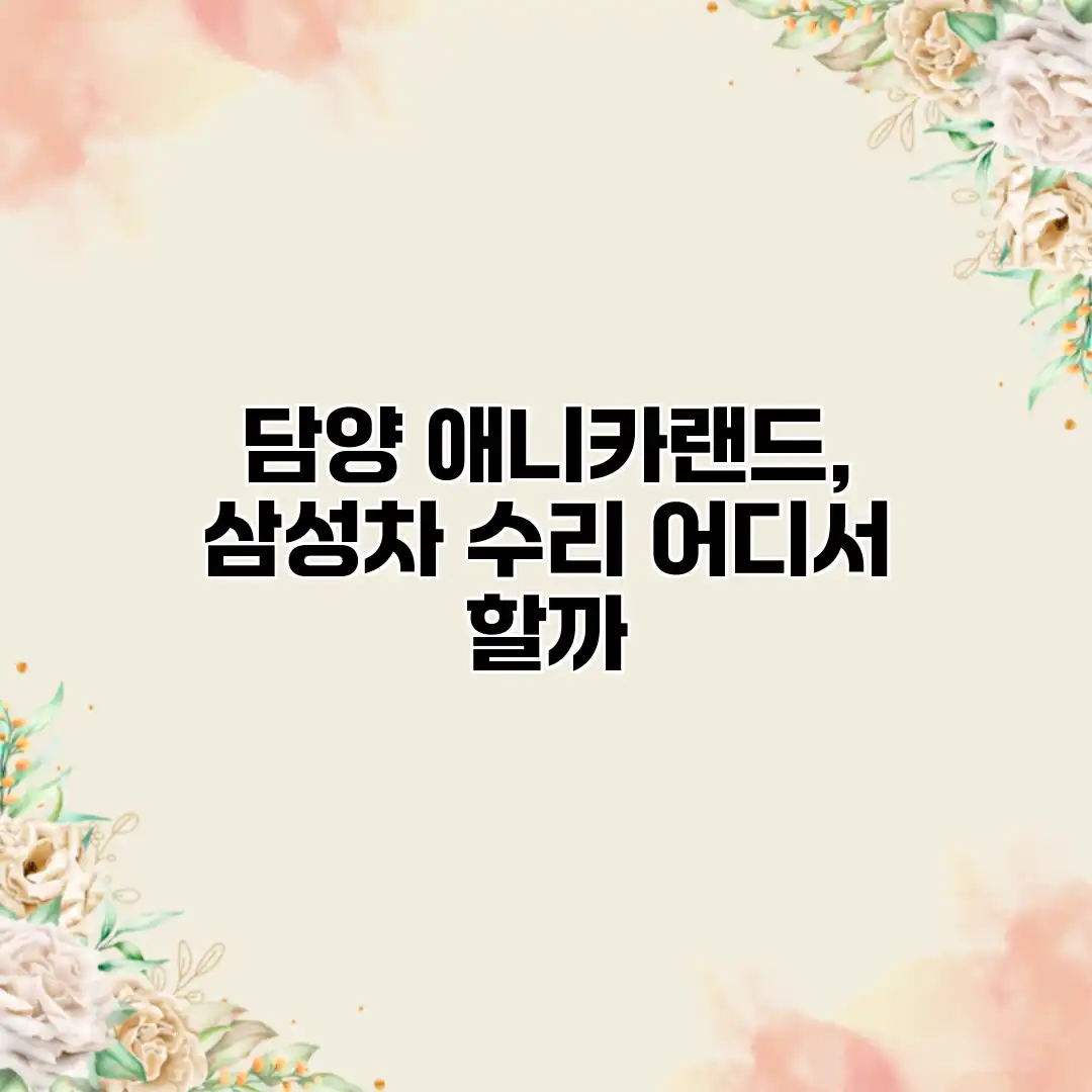 담양 애니카랜드, 삼성차 수리 어디서 할까?