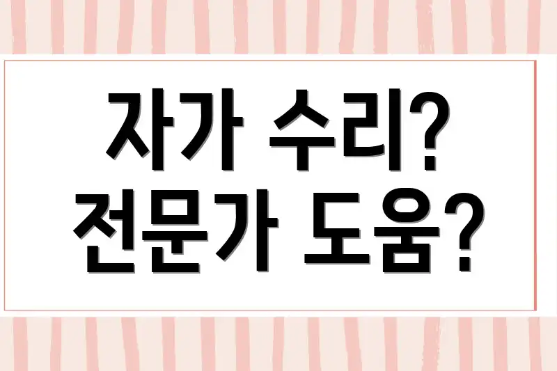 자가 수리? 전문가 도움?